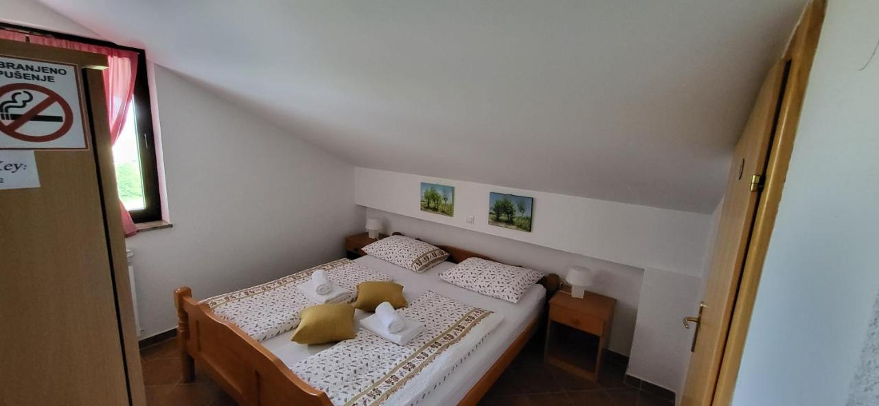 Vila Lisina Seliste Dreznicko Esterno foto