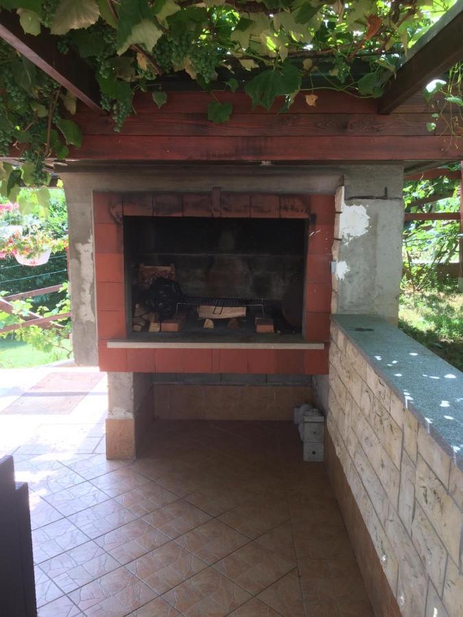 Vila Lisina Seliste Dreznicko Esterno foto