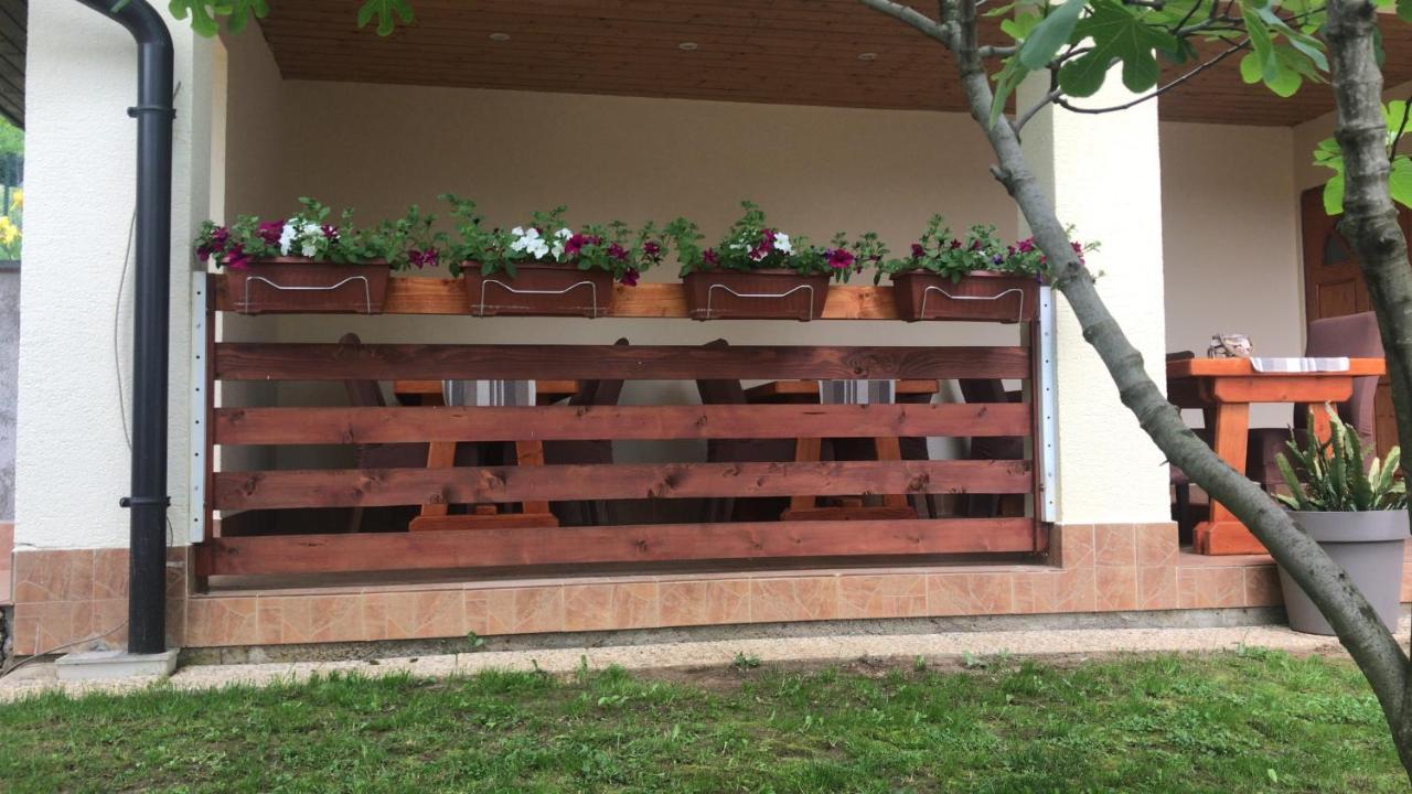 Vila Lisina Seliste Dreznicko Esterno foto